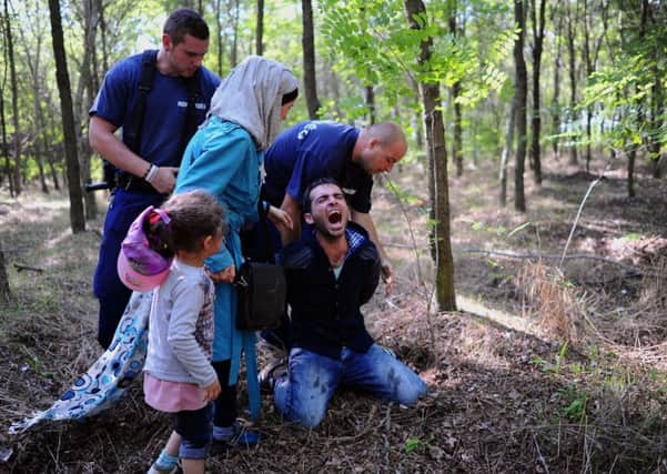 A father of a migrant family is arrested by the local police near the village of Roszke on the Hungarian-Serbian border. Picture: Getty Images
