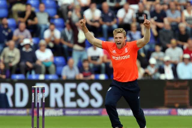 England allrounder David Willey celebrates taking the wicket of David Warner. Picture: Geoff Caddick/AFP/Getty