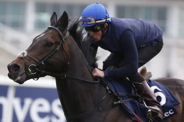Jack Hobbs, the Irish Derby winner, races at Kempton today. Picture: Getty