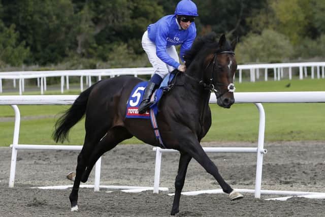 Jack Hobbs was an impressive winner of the totescoop6 September Stakes at Kempton and is set for the Prix de lArc de Triomphe. Picture: Alan Crowhurst/Getty