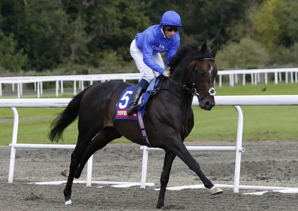 Jack Hobbs was an impressive winner of the totescoop6 September Stakes at Kempton and is set for the Prix de lArc de Triomphe. Picture: Alan Crowhurst/Getty