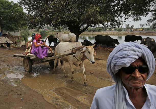 An elderly man walks past as women ride a cart in Sorkhi, 90 west of New Delhi, in the Indian northern state of Haryana, where a shortage of brides exists. Picture: AP