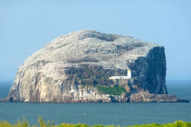 The world's largest gannetry, the Bass Rock. Picture: Wiki Commons
