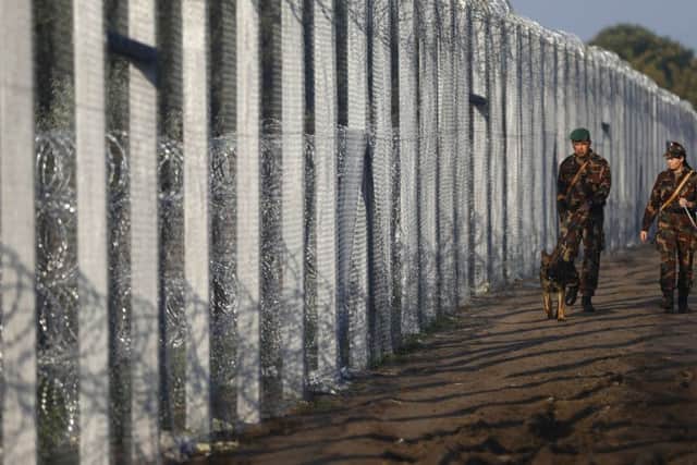 Hungarian soldiers patrol the border. Picture: AP