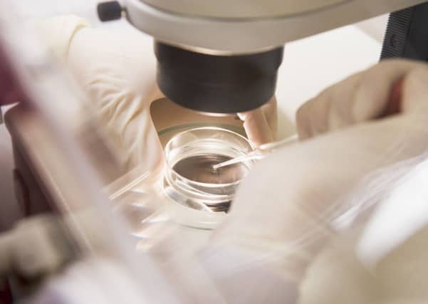 Research is allowed under strict rules, but not treatment. Picture: Getty Images