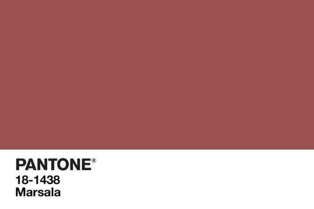 Pantone's colour of the year, Marsala. Picture: Pantone