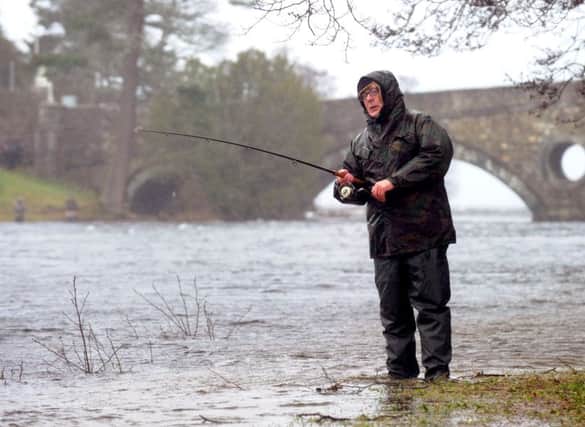 While catch and release makes up the vast majority of wild salmon fishing in Scotland but angling may face changes in the rules. Picture: Lisa Ferguson