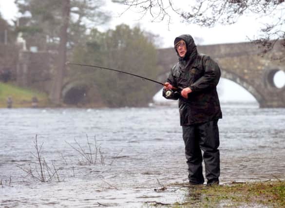 While catch and release makes up the vast majority of wild salmon fishing in Scotland  but angling may face changes in the rules. Picture: Lisa Ferguson