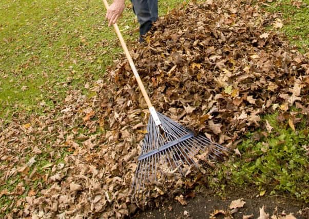 Regular raking of leaves in autumn will keep lawns in good condition