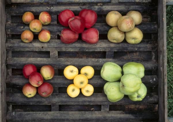 A variety of apples. Picture: PA