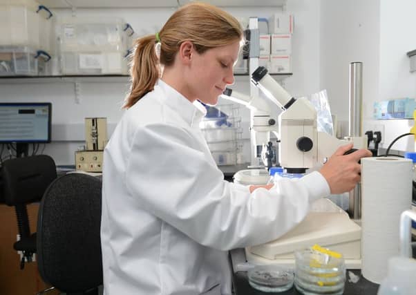 Only one in four girls know a woman working in science.
Picture: Neil Hanna