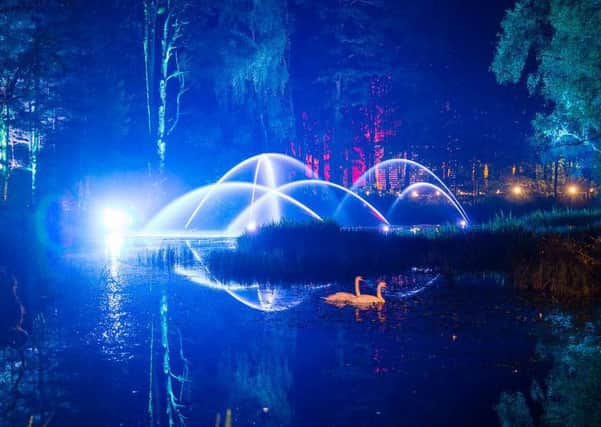 The Enchanted Forest is set to draw more than 55,000. Picture: Angus Forbes