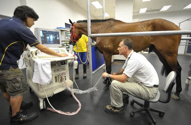 Research has shed light on the predominately fatal disease equine grass sickness. Picture: Getty