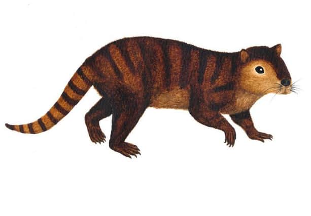 Kimbetopsalis, described as a sort-of 'post-apocalyptic beaver'. Picture: Steve Brusatte