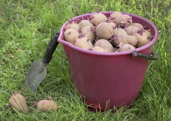 The humble potato is seen by 94 per cent of the survey as a versatile food