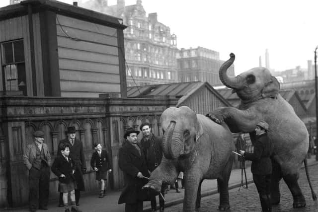 2 elephants from Princes International Circus arrive at Waverley Station, Edinburgh.
