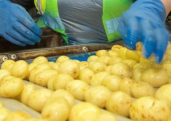 Produce Investments said the recall was 'extremely disappointing'