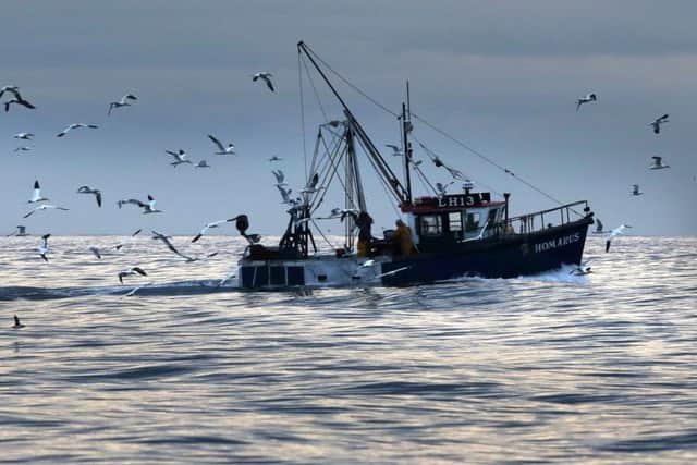 Fishing at sea. Photo: David Cheskin/PA Wire
