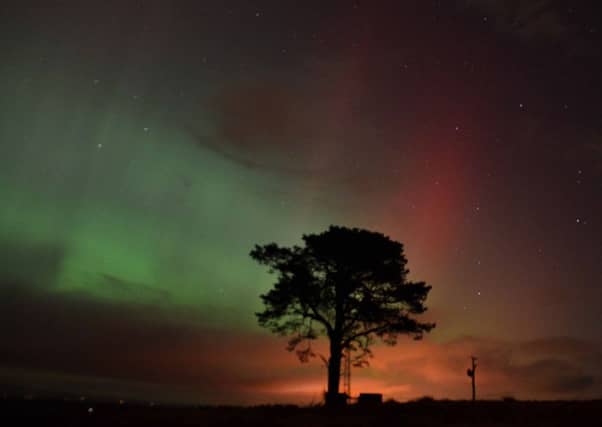 During a sighting of the Northern Lights, it is common to see red, blue and green illuminations in the sky. Photo: Wild About Scotland.