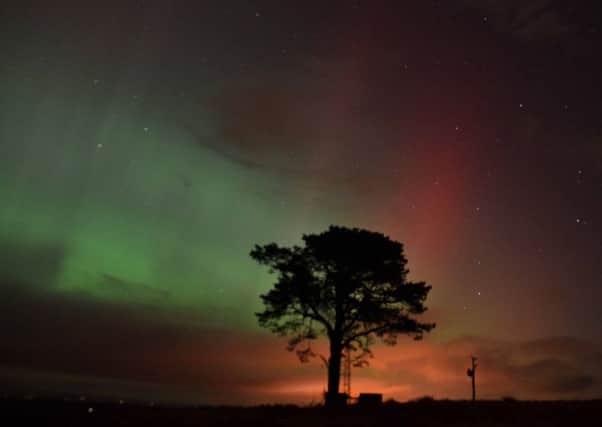 During a sighting of the Northern Lights, it is common to see red, blue and green illuminations in the sky. Photo: Wild About Scotland.