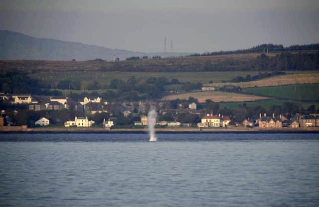 A Royal Navy Bomb disposal Team in the Firth of Clyde. Picture: HeMedia