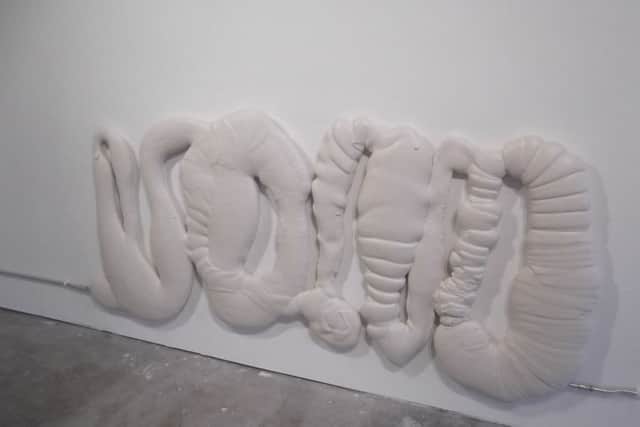 Nicolas Deshayes's Darling, Gutter