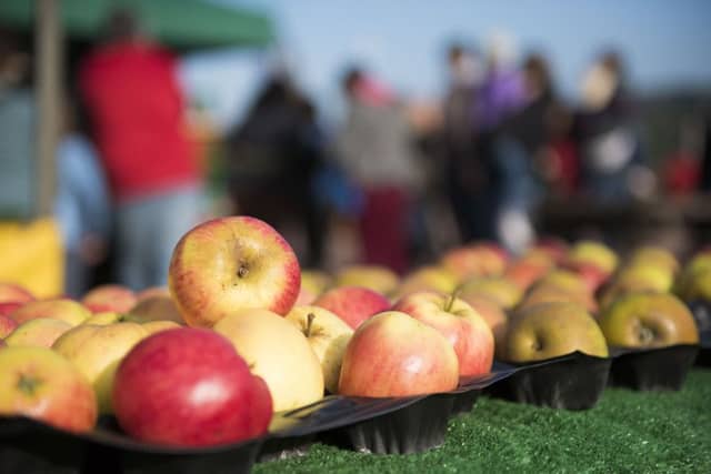 Is eating over your five-a-day worth it? Picture: Sarah Peters.
