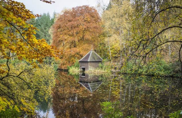 Faskally Wood, Pitlochry, Perthshire. Picture: PA