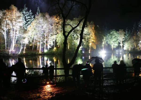 The Enchanted Forest is just one of the events taking places this autumn. Picture: Toby Williams
