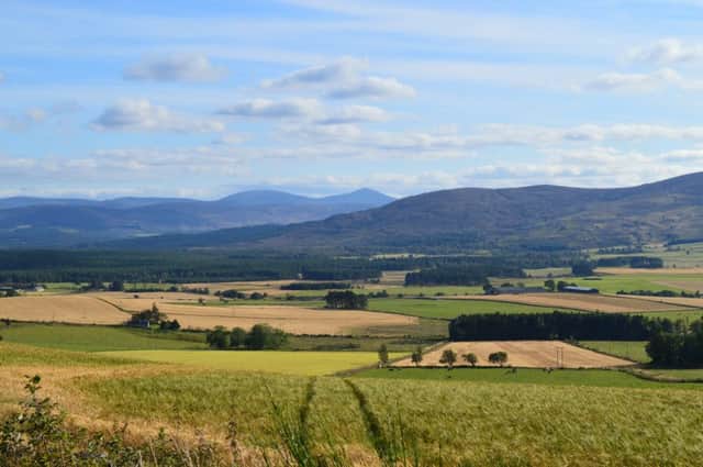 Studies have found that managed shooting estates can harbour more of at risk species than neighbouring land where there is no active management for hunting purposes