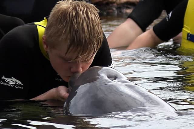 Kyle Cooper form County Antrim swimming with a dolphin at Discovery Cove in Orlando. Picture: Steve Parsons/PA Wire