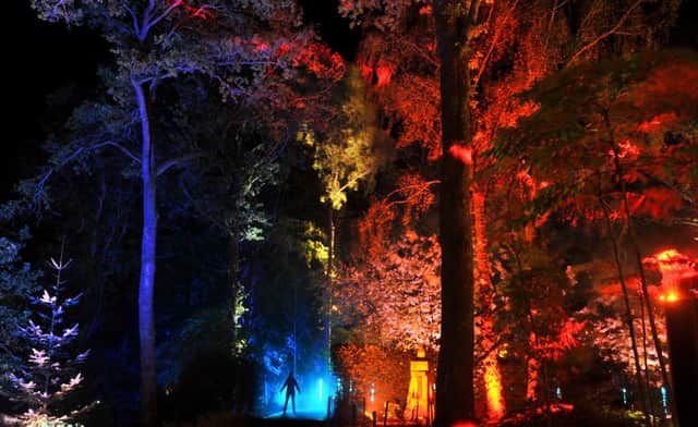 The Enchanted Forest. Picture: Jane Barlow