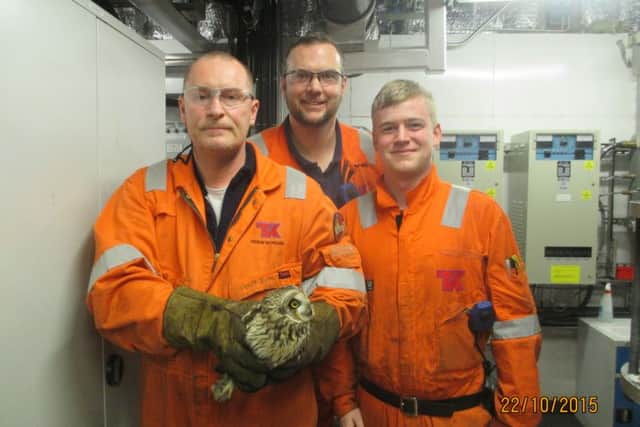 The owl is doing well. Picture: Scottish SPCA