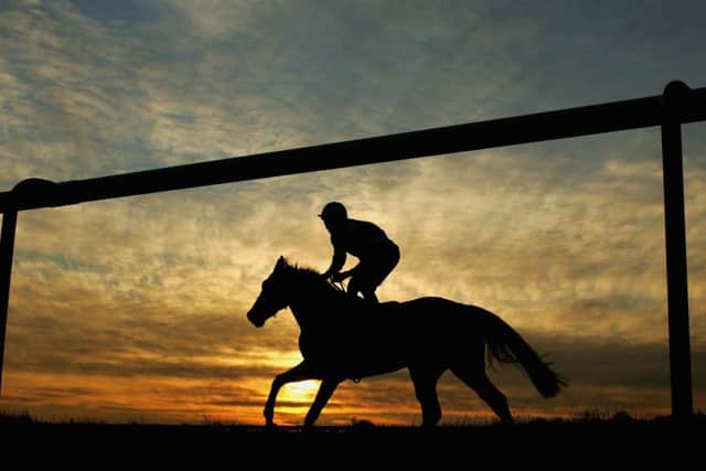 Desert Snow seems the safest bet at Lingfield. Picture: Getty