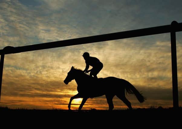 Desert Snow seems the safest bet at Lingfield. Picture: Getty