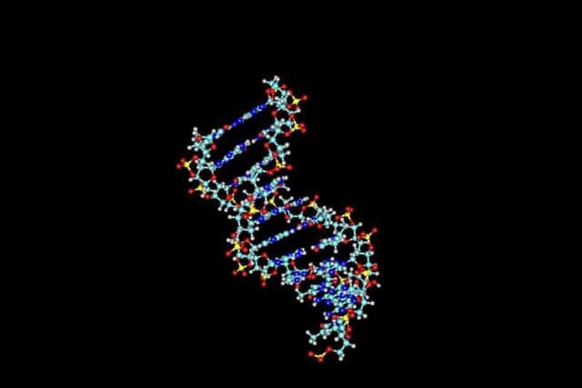 DNA helix molecule on white