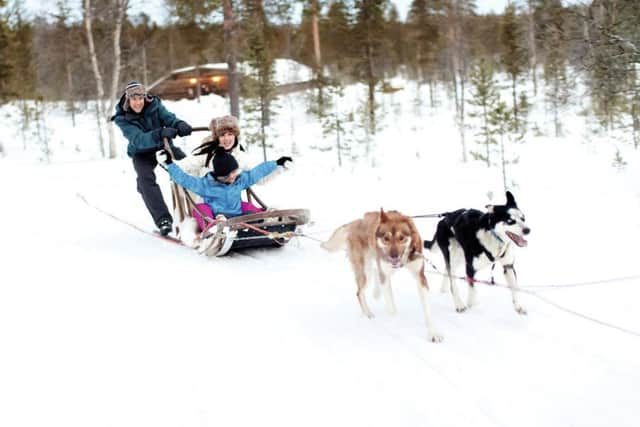 A husky ride in Lapland. Picture: PA