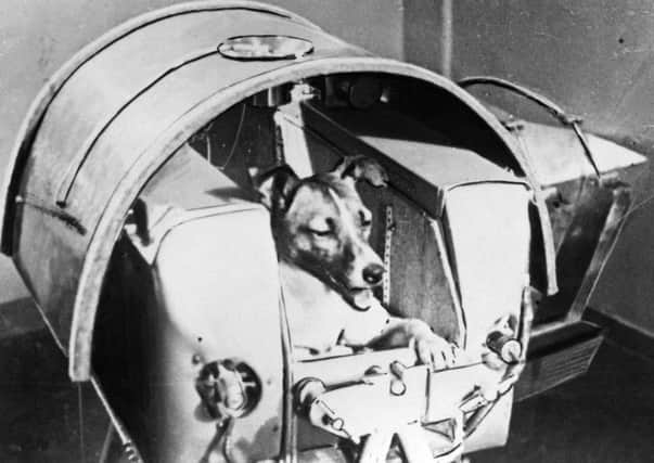 On this day in 1957, the Soviet Union launched Sputnik 2, which carried the ill-fated dog Laika into Earths orbit. Picture: AFP/Getty Images