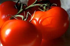 Tomatoes lose their flavour if you refrigerate them. Picture: Wikimedia/CC