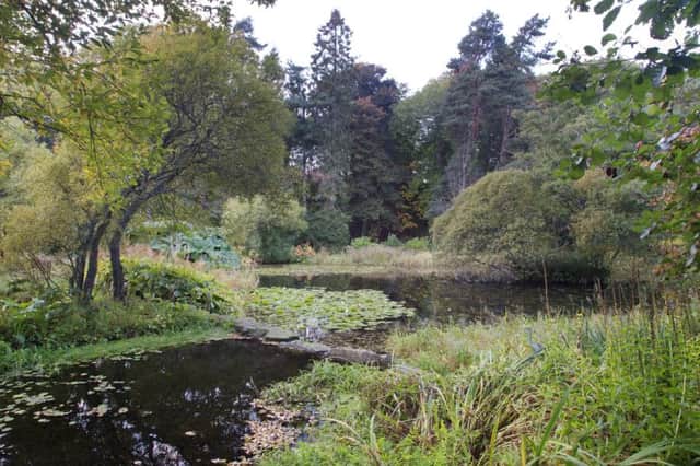 St Andrews Botanic Garden. Picture: Ray Cox (rcoxgardenphotos.co.uk)