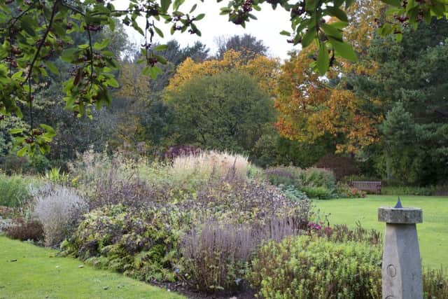 St Andrews Botanic Garden. Picture: Ray Cox (rcoxgardenphotos.co.uk)