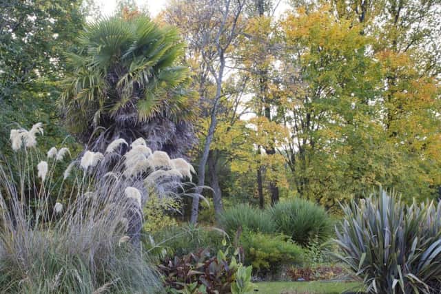 St Andrews Botanic Garden. Picture: Ray Cox (rcoxgardenphotos.co.uk)