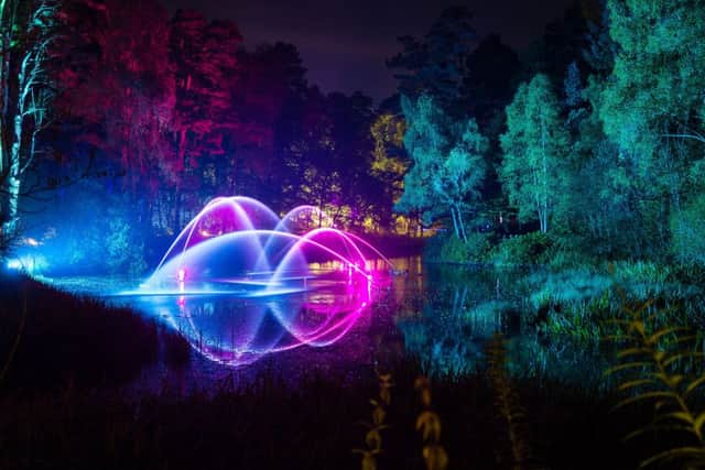 The Enchanted Forest enjoyed another record-breaking year. Picture: Angus Forbes