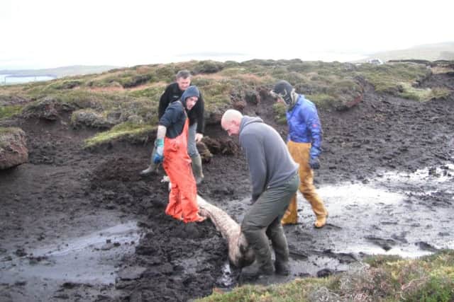 Sisal from Tanzania being used to restore peatlands in Shetland