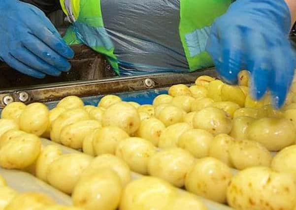 Produce Investments is closing its potato packing facility in Kent