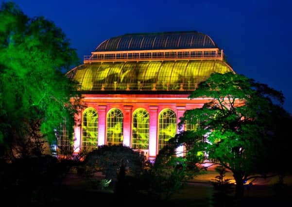 Black Light's projects include the award-winning Botanic Lights at Royal Botanic Garden Edinburgh