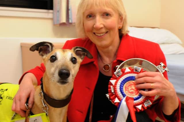 Therapet Organiser of the Year 2015, Marion Livingston, is pictured with whippet Benji. The organisation provides dogs for universities, residential homes and schools to promote positive relationships between animals and humans as well as fend off stress or loneliness.