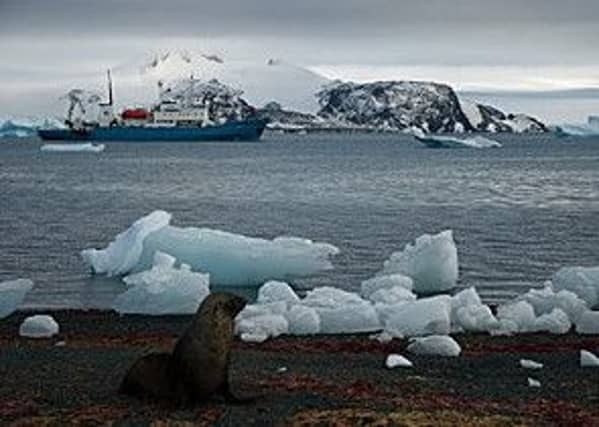 Dundee Island, Antarctica