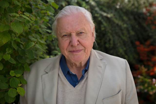 Sir David Attenborough. Picture: Huw Cordey/BBC