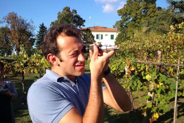 Dr Emilio Biancardi checks his grapes